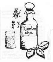 Kombucha bottle
