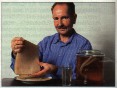 Aus FOCUS Nr. 34/1995