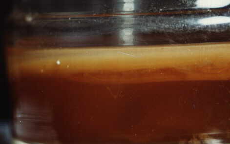 Culture in the glass